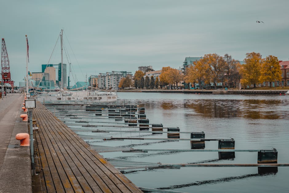 A public scene shaped by music and gathering.